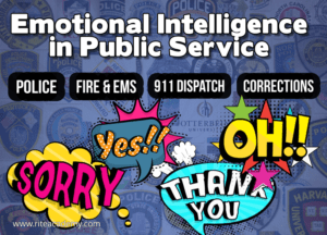 emotional intelligence in public service
